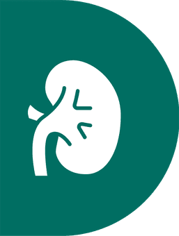 Dialymove